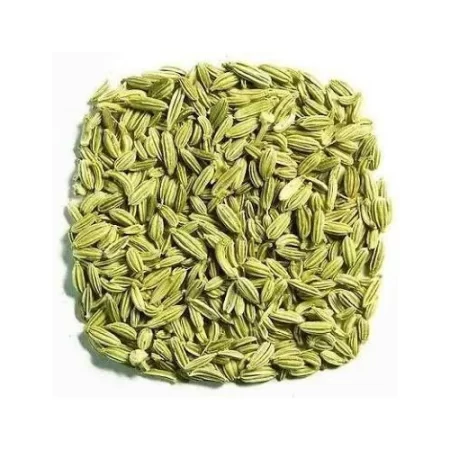 fennel-seeds-roasted-500x500